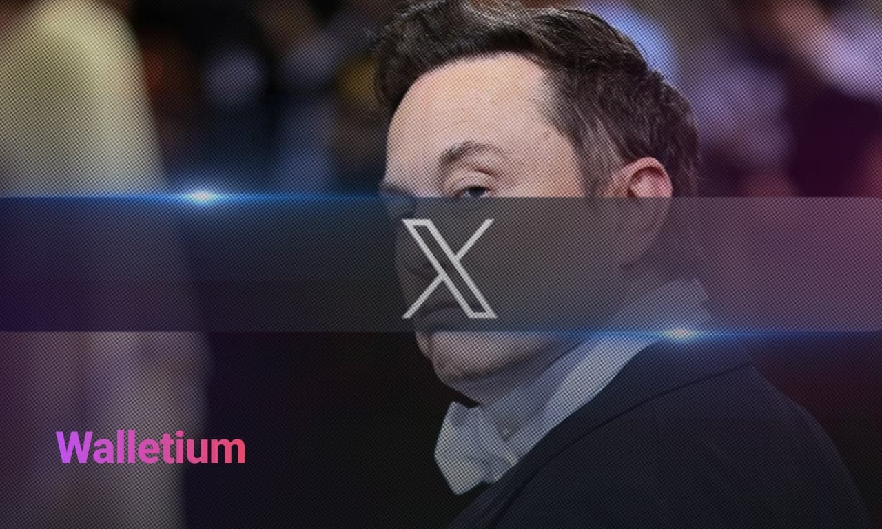 Elon Musk's X Money: Will It Integrate Crypto?