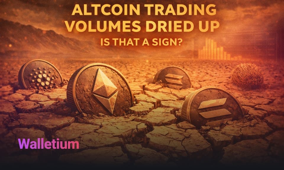 Altcoin Trading Volumes Are Drying Up - What It Means