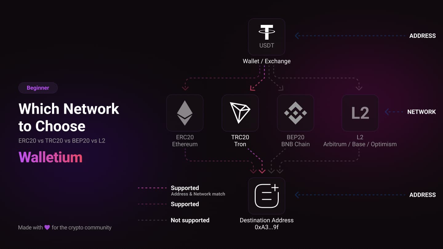 Choosing the Right Network for USDT and USDC Transfers